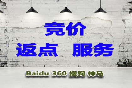 托管竞价sem案例分享：某电商平台的成功之路
